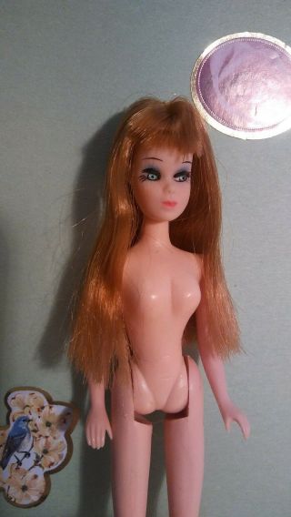 Vintage Topper Dawn/pippa Dolls.  " Glori Nude " Extrordinary
