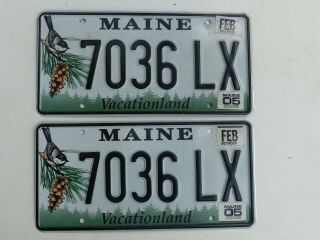 2005 Maine Passenger Car Chickadee Design License Plates Pair 7036 Lx