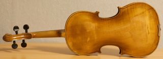 Very Old Labelled Vintage Violin " Fernando Sacconi " 小提琴 скрипка ヴァイオリン Geige