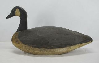 Antique Big 26 " Canadian Goose Decoy Primitive Hand Carved Iron Tack Eyes 1 Yqz