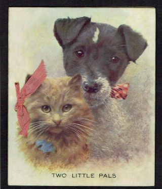 Vintage Christmas Greetings Card Cat & Dog Two Little Pals Sharpe