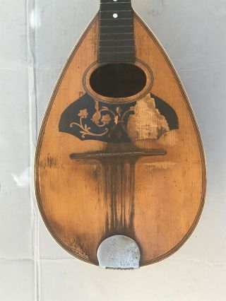 Rare Antique Vtg Early 1900s Stella 8 String Bowl Back Mandolin For Repair Usa