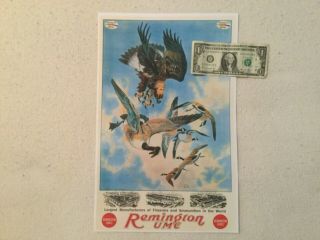 Remington Advertising Poster Sign Display