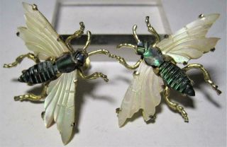 Vintage Ocean Treasures Mother Of Pearl Bug Fly Earrings Gf On Sterling Screwbk