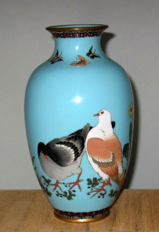 Wonderful Antique Large Meiji Period Japanese Cloisonne Enamel Vase W/ Pigeons