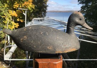 Vintage Ontario Hollow Carved High Head Black Duck Decoy Great Old Paint