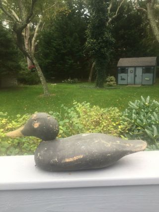 Antique Vintage Early 1900’s Old Wooden Black Duck Decoy