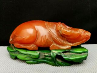 19th Antique Chinese Deep Carved Agate 南红 Buffalo With Green Stand - - - Very Rare