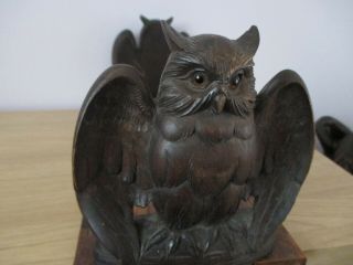 Antique Black Forest Owl Bookends Wood Carving Swiss