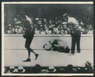 1927 Vintage Photo Jack Dempsey Vs.  Jack Sharkey Boxing At Yankee Stadium