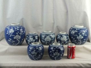 Seven Antique Chinese Porcelain Blue And White Prunus Jars