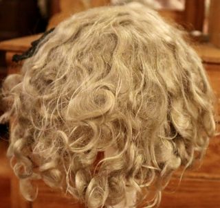 24 Antique Finest 11 " Mohair Doll Wig For Antique French Or German Bisque Doll