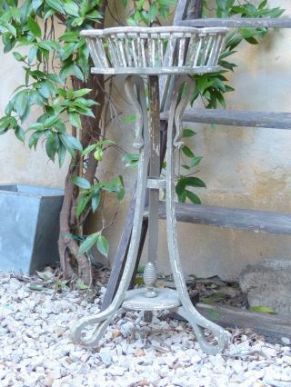 Charming Antique French Small Table Plant Stand Planter Grey Patina 1900