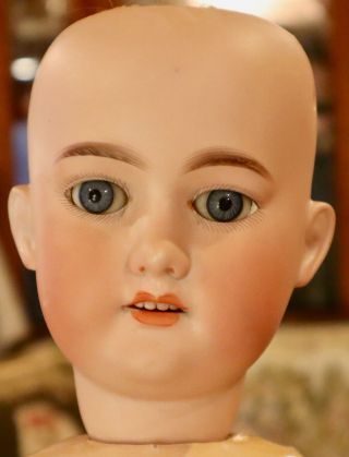 23 " Antique German Bisque George Borgfeldt Doll 11 " Circ,  Lovely Body Origfinish