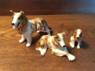 Shiken Bone China Japan Collie Dog Family Figurines 3 Piece Vintage