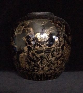 Gilded & Mirror Black Ginger Jar,  Kangxi Reign Mark (1662 - 1722),  Chinese Vase ⚜️