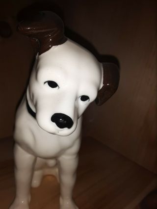 Vintage Rca Victor 6 " Tall Nipper Dog Porcelain Figure,  Sarsaparilla Japan