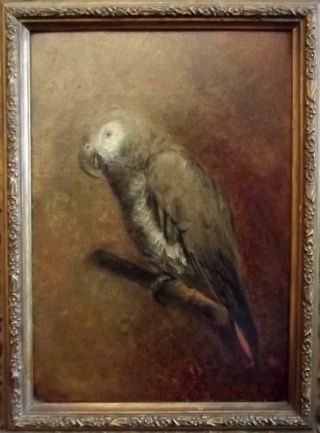Charming British Antique 19th Century Oil Painting of an AFRICAN GREY PARROT 2