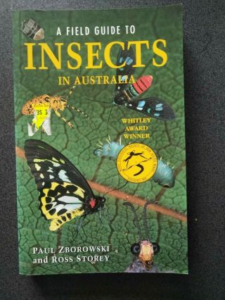 A Field Guide To Insects In Australia Book Zborowski