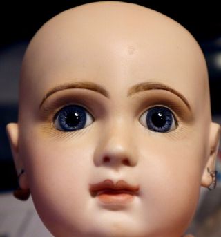 Antique 6 " French Closed Mouth Tete Jumeau Doll Head 12 1/2 " Circ,  Makes 20 "