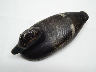Antique Early Hand Wood Carved Bluehill Duck Decoy / Smith Falls ON 3