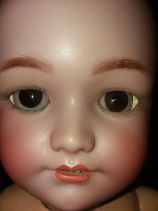 24 " Antique German Bisque Simon Halbig K R Doll Doll Perfect