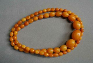 Old Baltic Butterscotch Egg Yolk Amber Graduated Necklace 38.  7 Grms 29 " No Knots