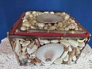 Vintage Seashell Ocean Sea Shell Trinket Jewelry Box Hand Made Beach Decor 6 X 4