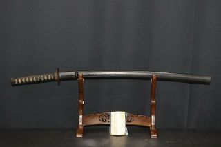 (iw - 11) Katana " Blade Length 65.  4cm (25.  7inch) " With Koshirae Edo