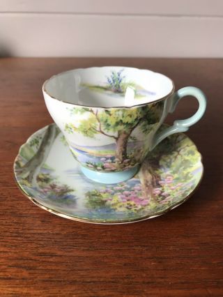 Vintage Shelley Porcelain Woodland Demitasse Cup And Saucer Made In England
