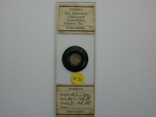 Antique Microscope Slide.  Challenger Expedition Soundings By John Norman