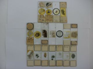 16 Antique / Vintage Microscope Slides.  Petrology.  Thin Rock Sections.