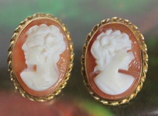 Vintage 14k Yellow Gold Natural Shell " Cameo " Stud Earrings