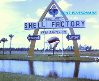 Slide,  1968 Shell Factory In Fort Myers Florida (vintage Entrance Sign)