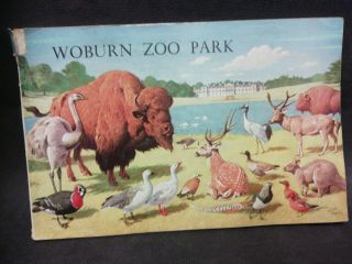 Vintage Woburn Zoo Park Guide Signed Circa 1960 Neave Parker Cover