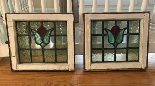 Antique Stained Glass Windows Stunning Three (3) Color Tulips Euc