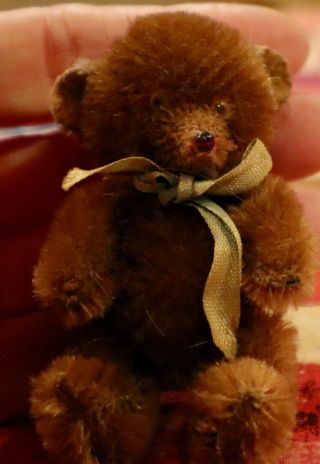 Antique 3 1/2 " Mohair Fully Jointed Schuco Glass Eyed Teddy Bear