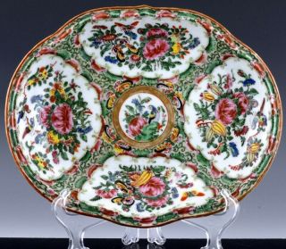 Large 19thc Chinese Famille Rose Bird Insects Landscape Serving Tray Platter