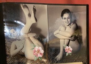 Risque Vintage 6x4 Nude Model Photo Girl Butt 60’s Glossy Art Pinup X4