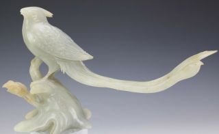 Vintage Chinese Export White Celadon Jade Exotic Bird on Branch Scultpure NR LMA 2