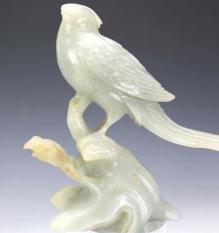 Vintage Chinese Export White Celadon Jade Exotic Bird on Branch Scultpure NR LMA 3