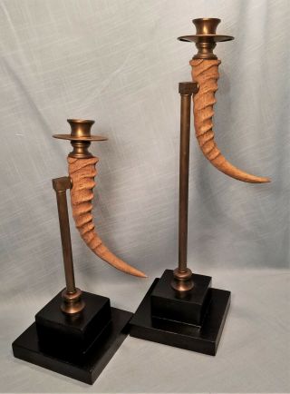 Vintage Real Impala / Springbok Horns Candle Holders Taxidermy & Brass 13 " & 17 "