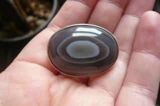 Vintage Scottish Banded Agate And Silver Brooch