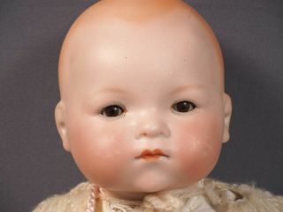 Dream Baby Doll Armand Marseille 16 " Sleepy Eyes Bisque Dome Head Antique