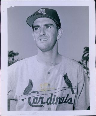 Lg687 1959 Orig Photo Ernie Broglio St Louis Cardinals Pitcher Vintage Baseball