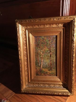 Antique Oil Painting On Board,  Late 1800’s,  Birch Trees,  13 1/2 X 10 Period Frame