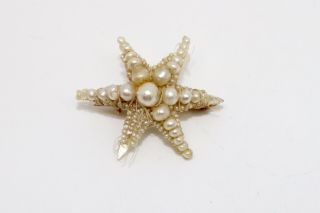 A Stunning Antique Georgian 9ct 375 Gold Seed Pearl Starburst Brooch A/f 15382
