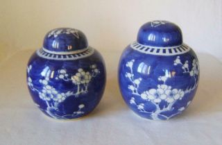 Two Antique Chinese Prunus Porcelain Vases With Lids 14 & 16 Cm High Ginger Jars