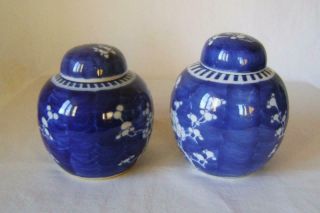 Two Antique Chinese Prunus Porcelain Vases with Lids 14 & 16 cm high Ginger Jars 2
