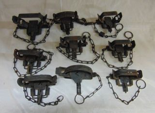 Group Of 9 Size 2 Traps